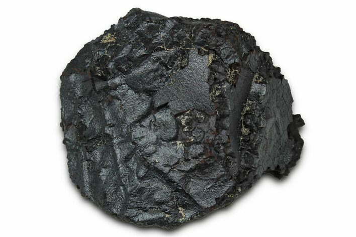 Dragon Scale Stone (Iron, Manganese, Siderite Nodule) #350185